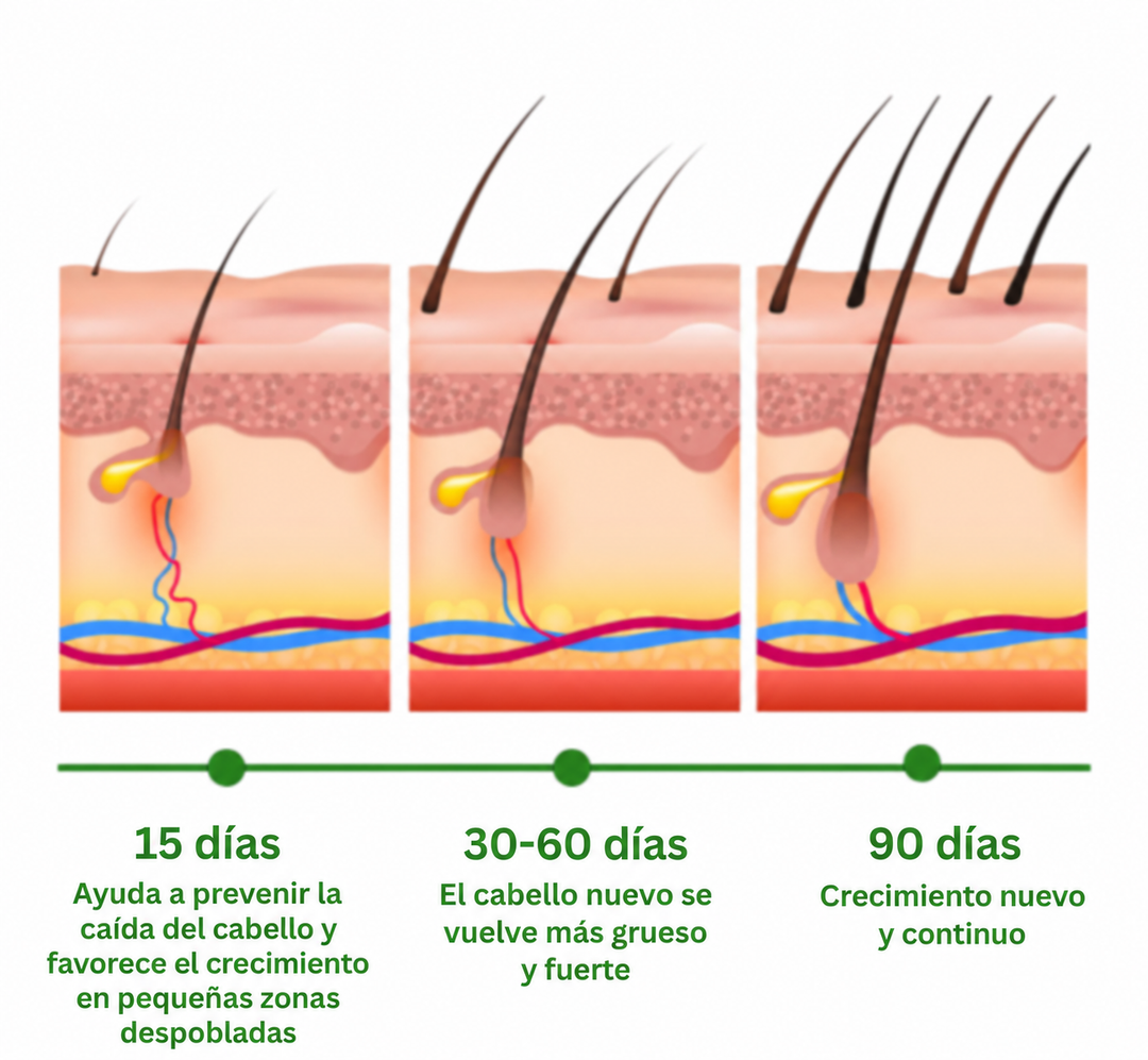 🌿 Aceite de Romero™ | Ayuda a fortalecer y revitalizar tu cabello